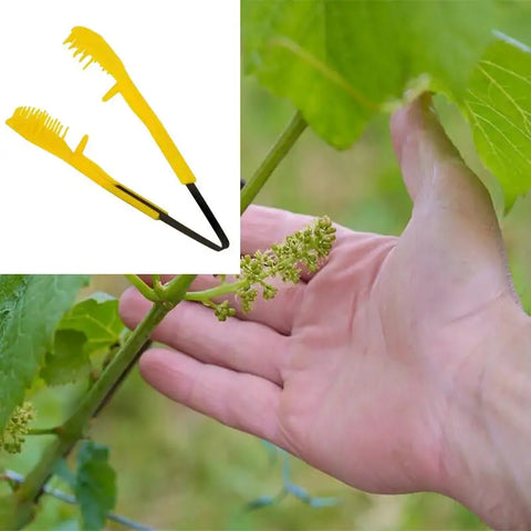 6.69" Pruning Tool for Grape, Bud, Flower Thinning - Handheld Garden Pruner for Farm Plants