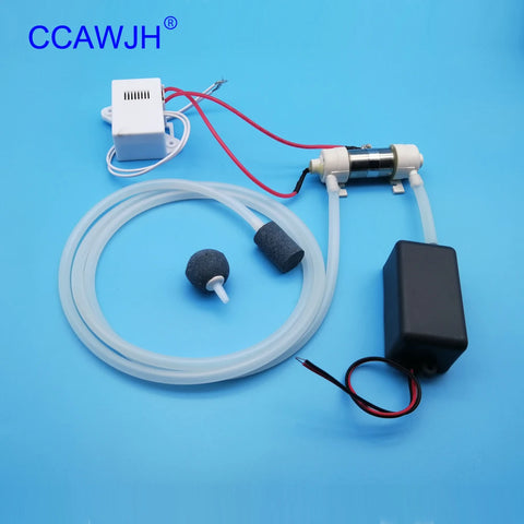 Dual Voltage 300mg Ozone Generator for Water & Air Sterilization, DIY Ozonizer, 110V/220V Disinfector