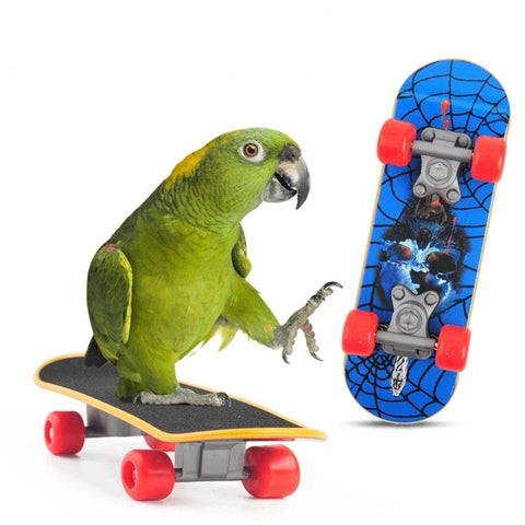 Bird Skateboard Toy: Perch Trainer for Lovebirds, Canaries, Cockatiels