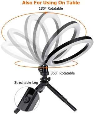 10" LED Ring Light with Phone Holder for Makeup, TikTok, YouTube, Video, Live Streaming