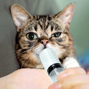 10-Pack Disposable Syringe Kit 1-50ml for Pet Care, Feeding, Glue Uses