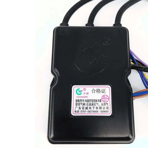 220V High-Capacity Gas Water Heater with Pulse Ignition & Over-Temp Protection