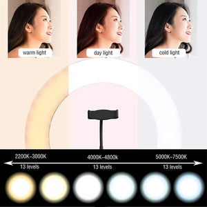 10" LED Ring Light with Phone Holder for Makeup, TikTok, YouTube, Video, Live Streaming