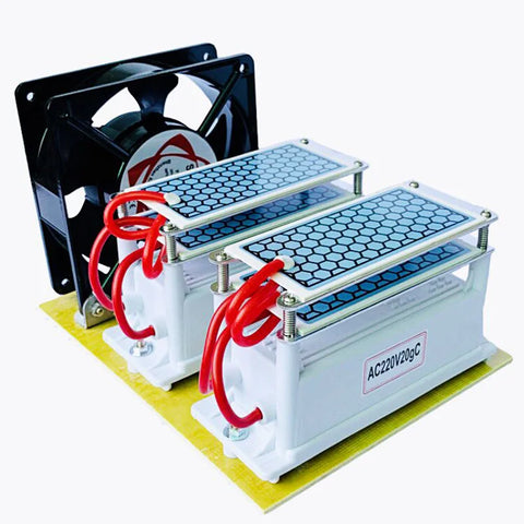 Dual Voltage 20g/10g Ceramic Ozone Generator Air Purifier, Powerful Ozonizer for Home, Efficient Double Plate Design