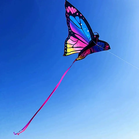 Colorful 1.45m Butterfly Kite with Line - Outdoor Sports & Fun