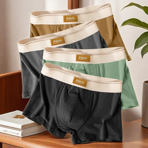 3 Pack Men's Cotton Boxer Briefs Underwear Breathable U-Pouch Trunks