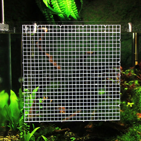 Aquarium Divider Tray with Filtration System | Fish Tank Separator