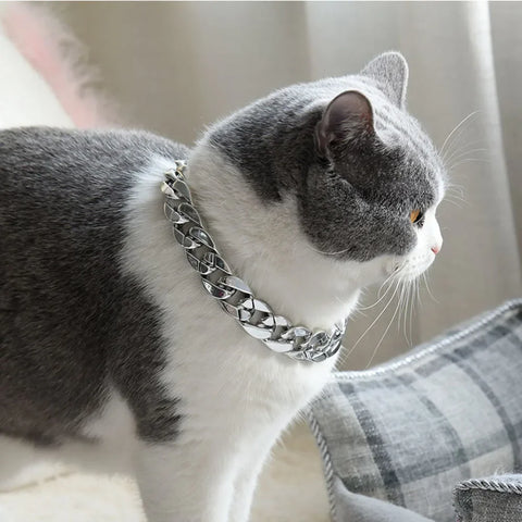Cuban Link Pet Collar: Silver/Gold Necklace for Dogs & Cats - Stylish Chain for Puppies & Kittens