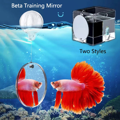 Floating Acrylic Betta Fish Training Mirror - Aquarium Accessories 4cm-9cm