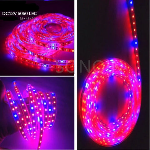 Full Spectrum LED Grow Light Strip 12V for Plants - 1m 2m 3m 5m Options for Seeds, Flowers, Hydroponics, Greenhouse, Tent