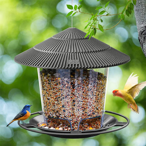 Automatic Multi-Hole Hanging Bird Feeder for Outdoors