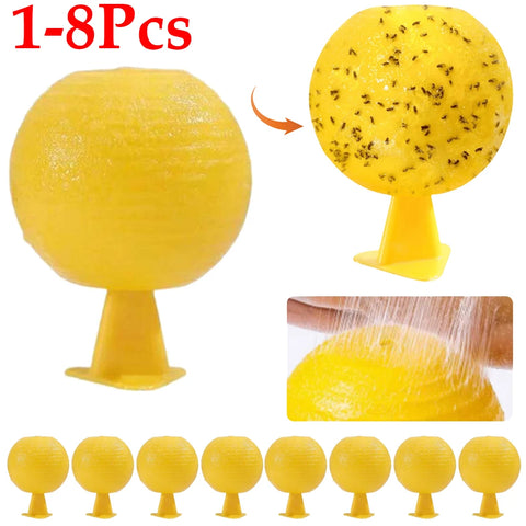 Fruit Fly Trap Kit - Indoor Outdoor Pest Control with Sticky Holders