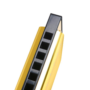 10 Holes 20 Notes C Key Harmonica with Colorful Metal Shell & Box - Educational Toy for Beginners