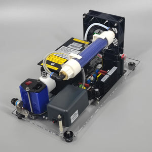 Pinus Longaeva Adjustable 10g/h Ozone Purifier 10g Fish Pond Air Water Disinfection Machine