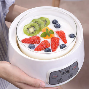 1.3L Automatic 3-in-1 Yogurt, Rice Wine, Natto Maker with Glass Liner and Constant Temperature Control