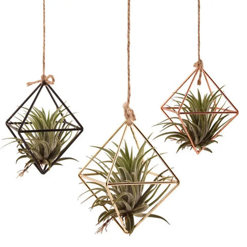 Geometric Glass Air Plant Terrarium Stand - Rot-Resistant Display Rack for Home Decor