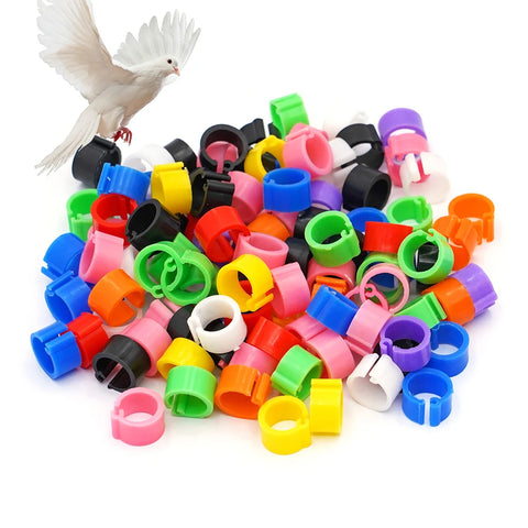 100-Pack 8mm Colored Bird Leg ID Bands for Pigeons Parrots