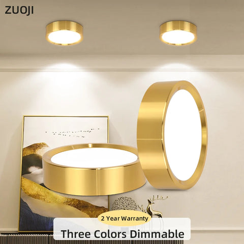 Dimmable Gold LED Ceiling Light Downlight 5W 10W 15W 25W Spotlight for Living Room Kitchen 185-265V Panel Lamp