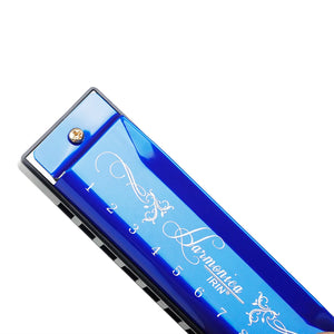 10 Holes 20 Notes C Key Harmonica with Colorful Metal Shell & Box - Educational Toy for Beginners