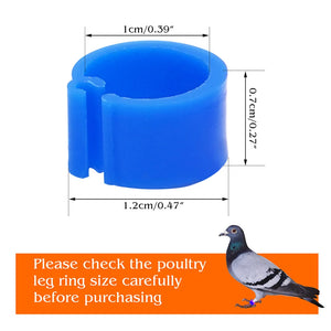 100-Pack 8mm Colored Bird Leg ID Bands for Pigeons Parrots