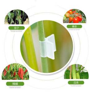 100 Grafting Clips for Tomatoes & Vegetables - Essential Garden Tools