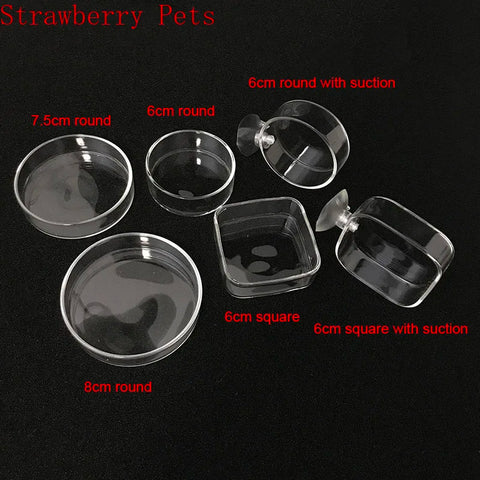 Aquarium Fish & Shrimp Feeding Ring - Floating Food Feeder