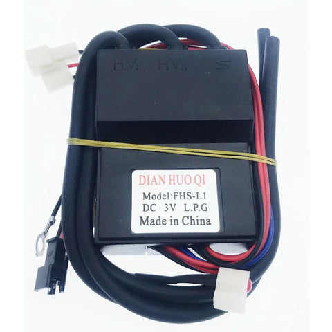 Dual Ignition 10-Wire Igniter with Temperature Control