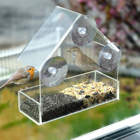Clear Window Bird Feeder with Suction Cups and Removable Tray for Easy Cleaning