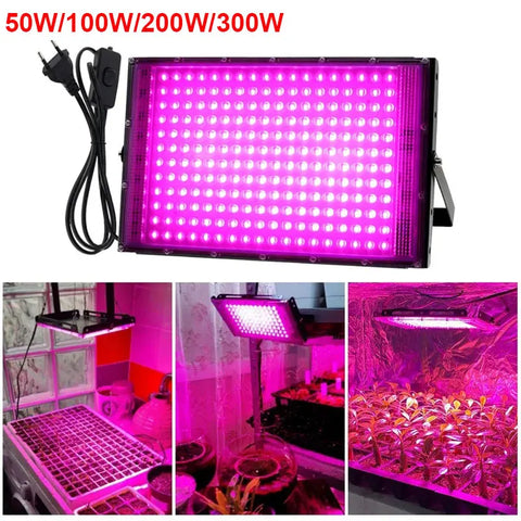 Full Spectrum LED Grow Light 50w 100w 300w for Indoor Plants, UV Phyto Lamp for Indoor Cultivation