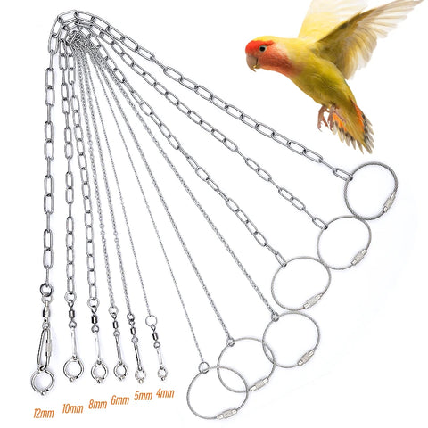 Bird Training Perch with Chain - Outdoor Flight Tool for Small Birds