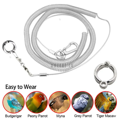Bird Leash with Anti-Fly Chain & Alloy Ring for Training