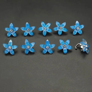 10-Pack Flower Princess Hair Clips Set - Lovely Hairpins and Buckles Hair Accessories