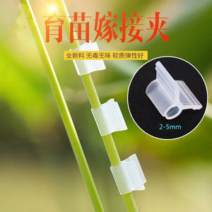 100 Grafting Clips for Tomatoes & Vegetables - Essential Garden Tools