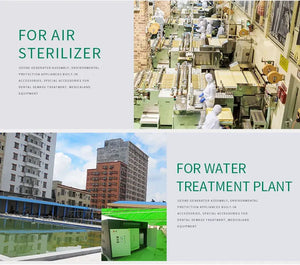 10g Air-Cooled Ceramic Tube Ozone Generator for Water Purifier Disinfection