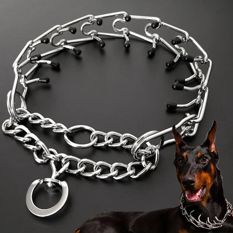Adjustable No-Pull Dog Collar with Stainless Steel Comfort Tips