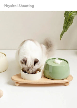 1.3L Ceramic Pet Water Fountain USB Rechargeable Auto Filter for Cats & Dogs