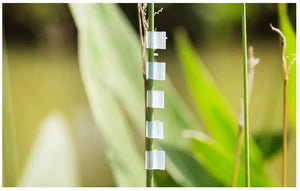 100 Grafting Clips for Tomatoes & Vegetables - Essential Garden Tools