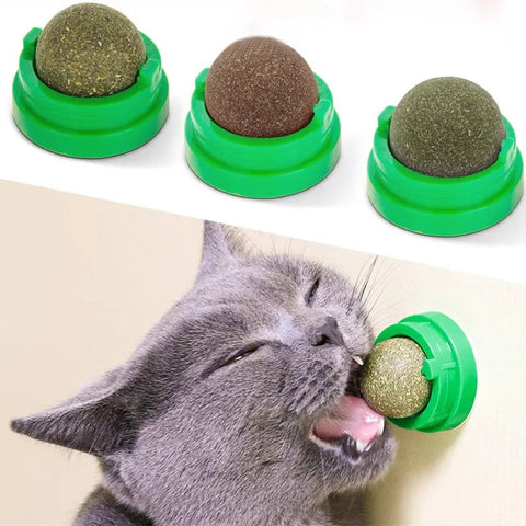 Catnip Wall Toy for Cats - Interactive Treat, Scratcher, Digestive Aid