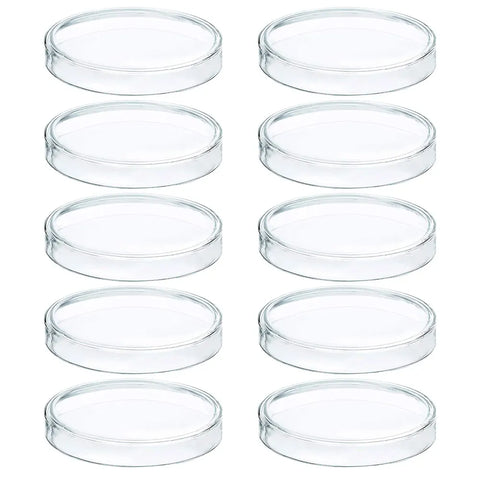 10pcs 60mm Disposable Plastic Petri Dishes with Lids for Cell Tissue Culture Lab Use