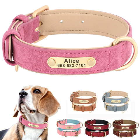 Adjustable Leather Dog Collar with Engraved Nameplate for All Breeds