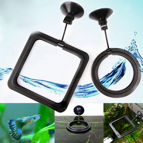 Aquarium Fish Feeding Rings with Suction Cups - Square & Round Holders