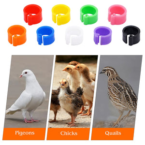 100-Pack 8mm Colored Bird Leg ID Bands for Pigeons Parrots