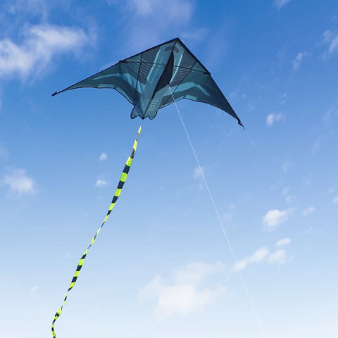 2m Delta Kite for Adults - Easy Fly Outdoor Beach Fun