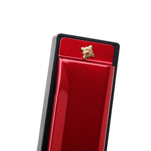 10 Holes 20 Notes C Key Harmonica with Colorful Metal Shell & Box - Educational Toy for Beginners
