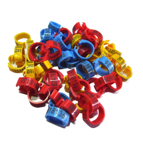 Custom Pigeon Bird Rings - Adjustable Identification Bands for Pet Pigeons