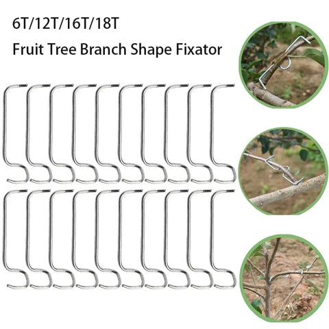 Adjustable Plant Stakes - Durable Garden Support, Easy Setup