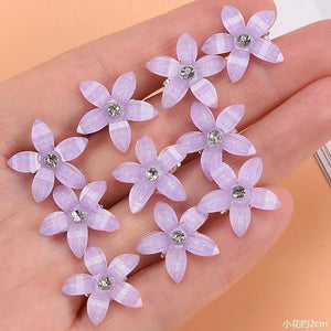 10-Pack Flower Princess Hair Clips Set - Lovely Hairpins and Buckles Hair Accessories