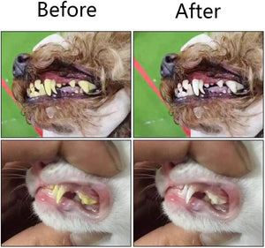 10-Pack Pet Finger Toothbrush - Silicone Dental Care for Dogs & Cats - Tartar Removal, Breath Freshener