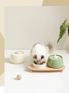 1.3L Ceramic Pet Water Fountain USB Rechargeable Auto Filter for Cats & Dogs