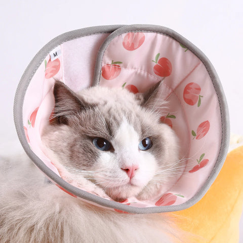 Adjustable Cat Recovery Cone - Lightweight Protective Collar for Healing & Comfort After Surgery